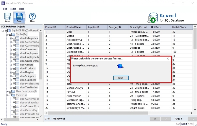 Saving database objects